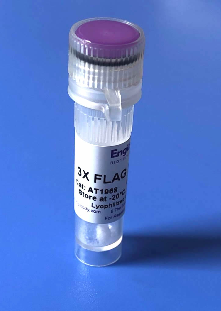 3X FLAG Peptide for Elution